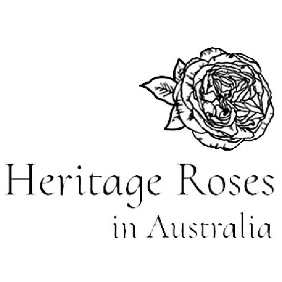 Heritage Roses in Australia