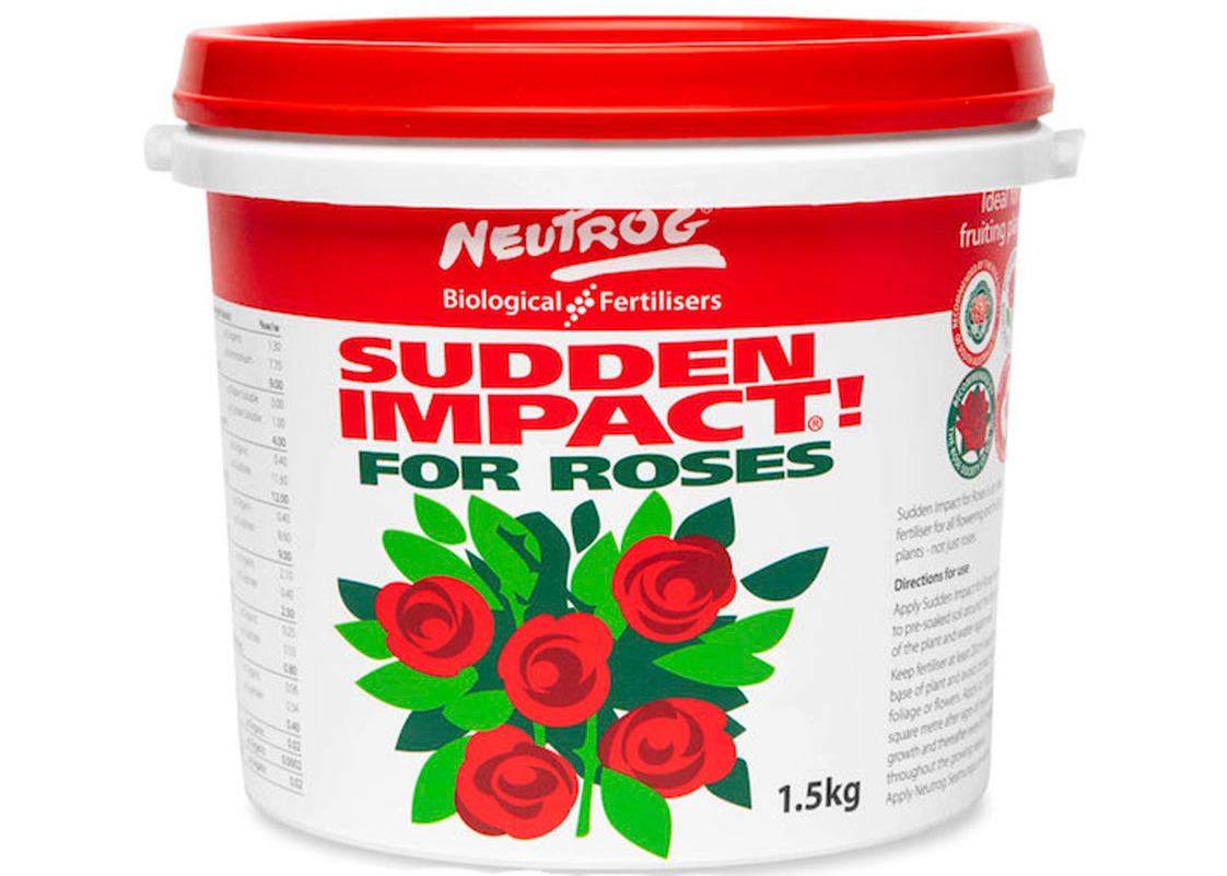 /Sudden Impact for Roses