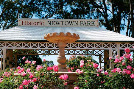 Queensland State Rose Garden, Toowoomba