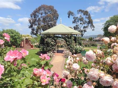 Morwell Centenary Rose Garden