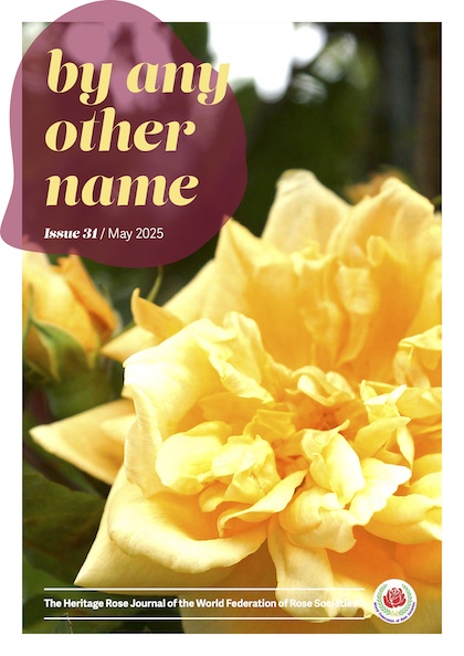 /by any other name May 2025